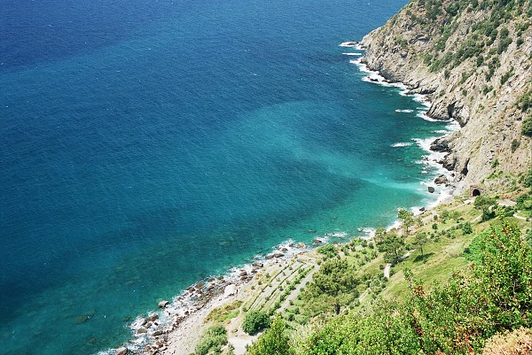 img00043.jpg