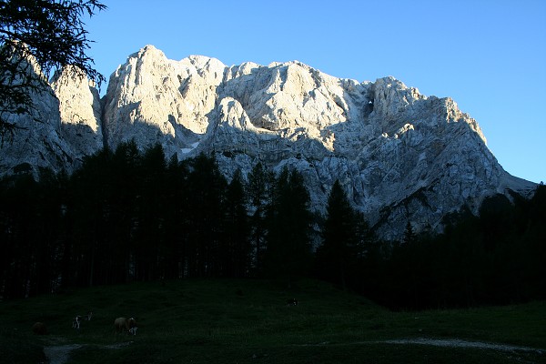 img00001.jpg