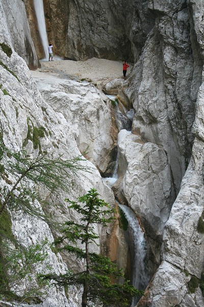 img00062.jpg