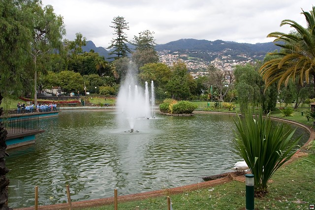 img00003.jpg