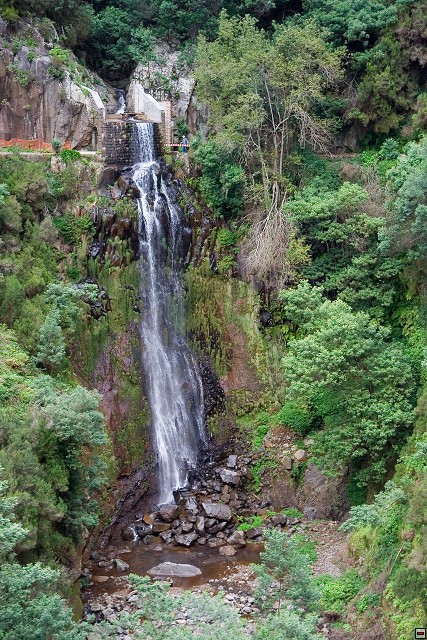 img00018.jpg