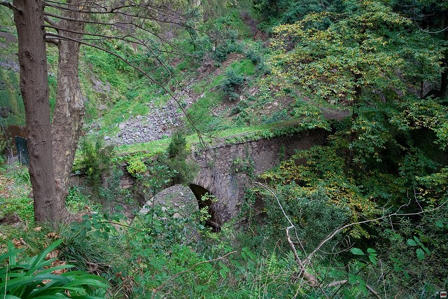 img00022.jpg