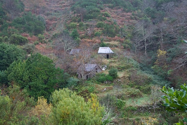 img00064.jpg