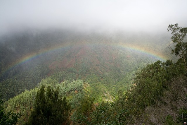 img00065.jpg