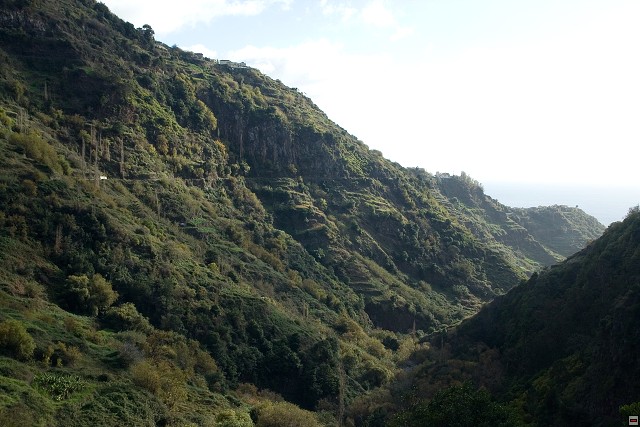 img00114.jpg