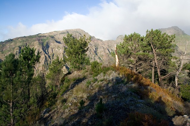 img00115.jpg