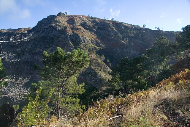 img00117.jpg