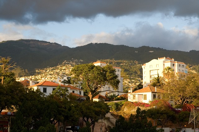 img00130.jpg