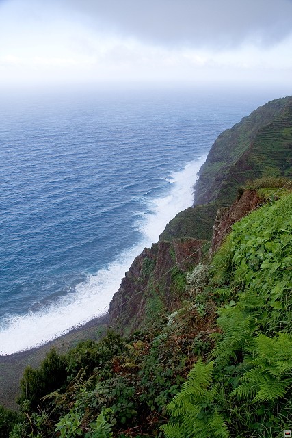 img00185.jpg