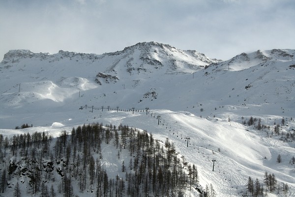 img00036.jpg