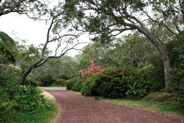 img00018.jpg