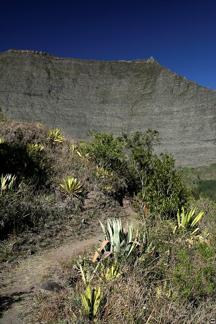 img00094.jpg