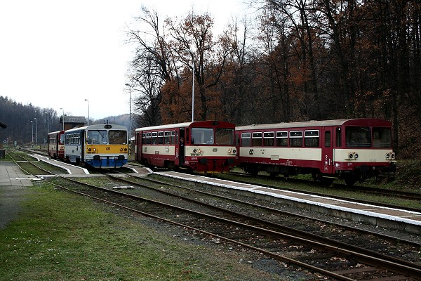 img00037.jpg